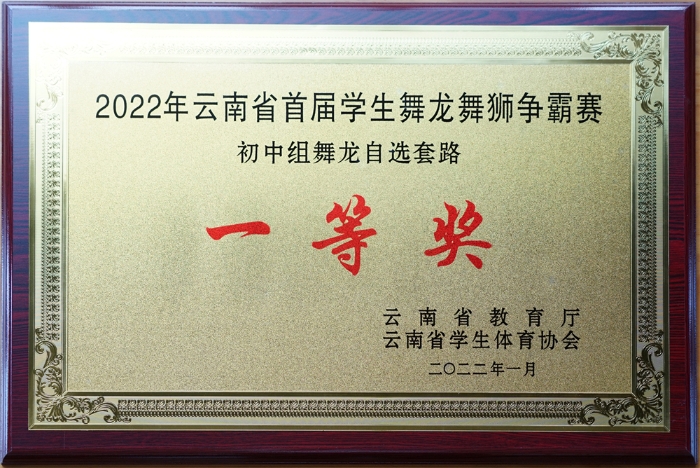 22年舞龙一等奖 22年舞龙一等奖