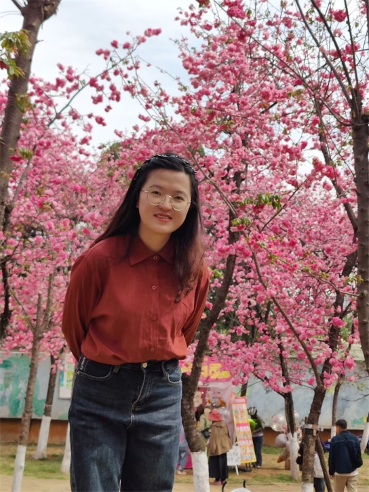 昆明市教坛新秀、晋宁区优秀教师 杨丽金 昆明市教坛新秀、晋宁区优秀教师 杨丽金