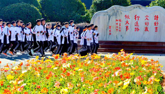 招生信息1 招生信息1