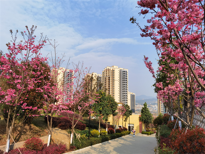 QQ图片20210311103404 QQ图片20210311103404