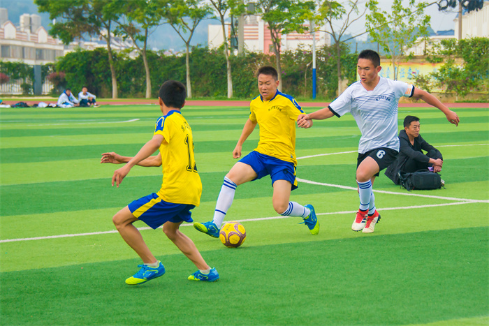 20190403-_DSC6305 20190403-_DSC6305