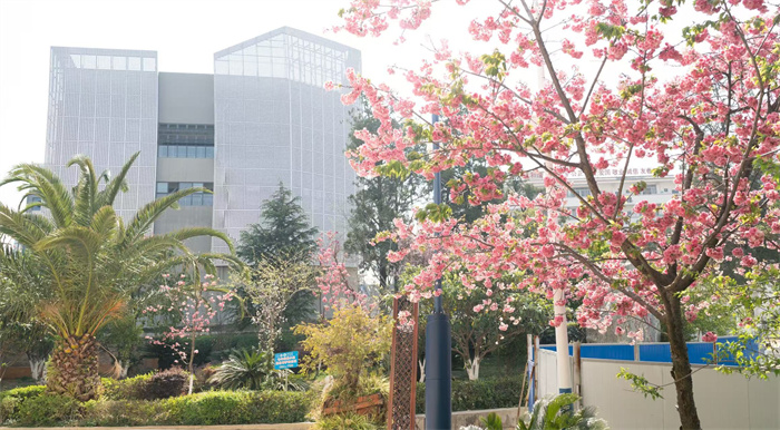 e3afae1908f1ed052eff3e59ae5b9aa e3afae1908f1ed052eff3e59ae5b9aa