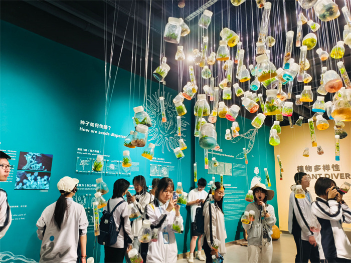 4. 小组探究 4. 小组探究