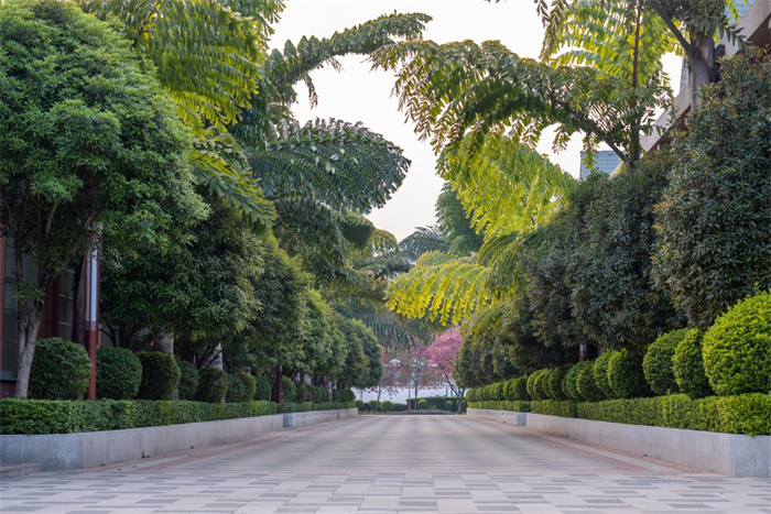 微信图片_20250425074001