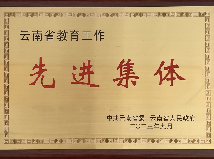 先进集体牌匾 先进集体牌匾