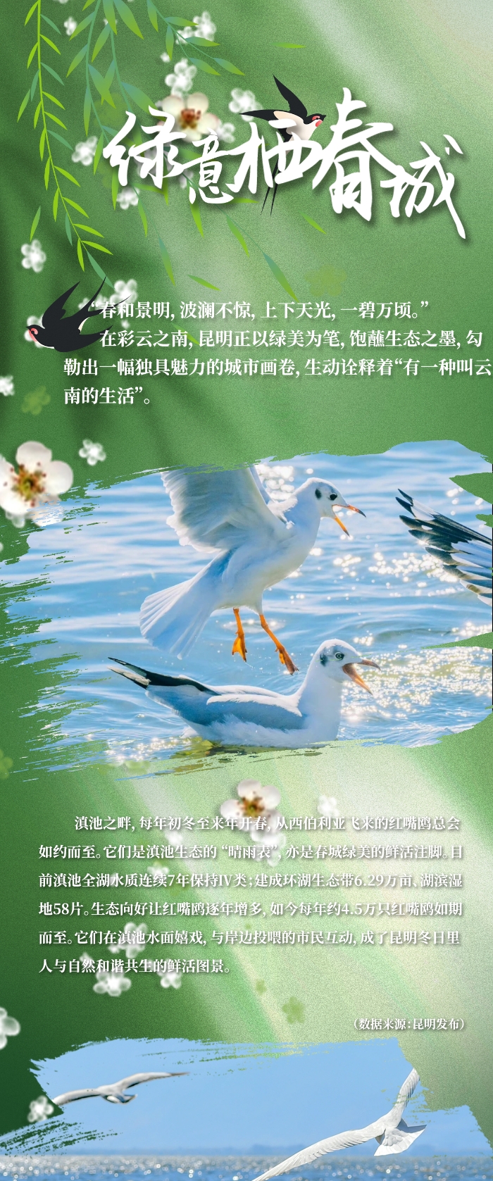 绿意栖春城海报1