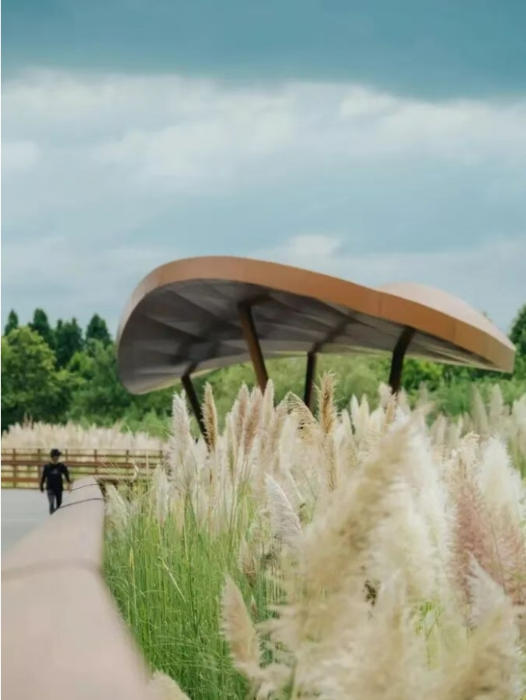 微信截图_20250908152556