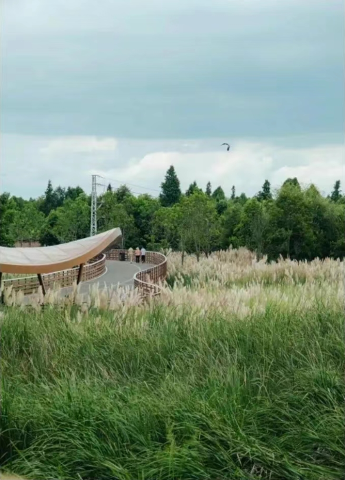 微信截图_20250908152547