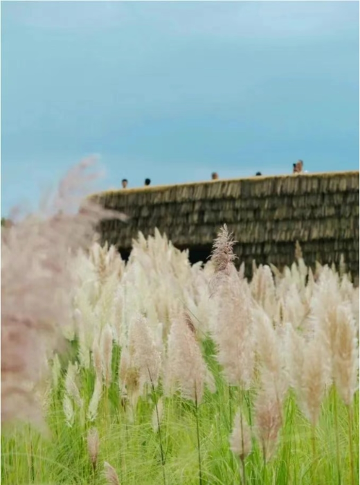 微信截图_20250908152536