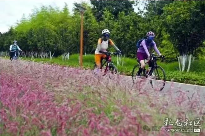 微信截图_20250908153259