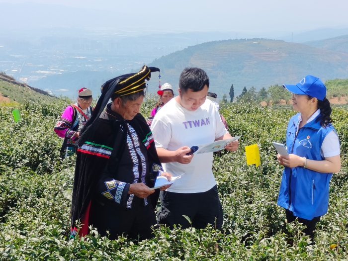 7.昆明市社保服务先锋队员深入茶山为茶农宣讲社保政策