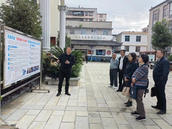 9.省社保局调研澄江“集体经济+积分制”工作，推动养老保险扩面参保