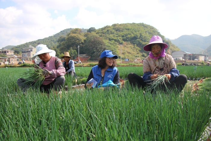 5.红河州泸西县社保中心工作人员深入田间地头开展社会保险政策宣传，让社保政策更深入人心。